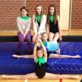 Županijsko natjecanje - gimnastika 2013